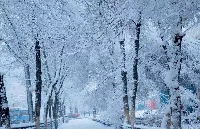 電伴熱坡道融雪 